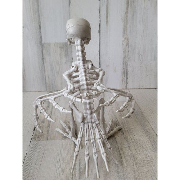 Crazy bonez skeleton bird dodo crow Halloween prop decor - Picture 5 of 9